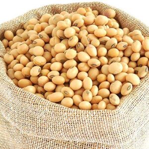 Soybean Atta
